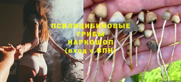 не бодяженный Армянск